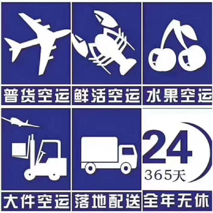航空貨物到港